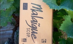 Domaine de Malaïgue - Bib 3L rosé