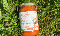 Agriloops - Coulis de tomates aux poivrons 2 x 320g
