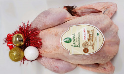 Ferme de la Paumerais - [Précommande] POULARDE DE LA FERME - 1,5 Kg (x1)