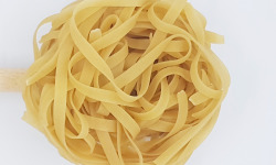 Pasteole - Tagliatelle nature 5kg