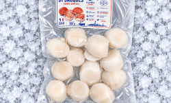 Mon Petit Poisson - Noix de st jacques sans corail (300g)