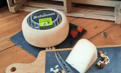 La Ferme de Lintan - Tomme Le Bréhannais - env 200g