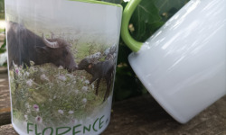 La Ferme de Souegnes - Mug bébé buffle et sa maman personnalisé