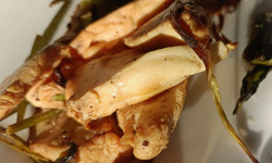 Rébecca les Jolies Fleurs - Champignons : Polypore souffré