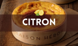 Maison Héron père et filles - Flan parfumé citron - 6 pers