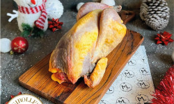 Maison Lascours - Pintade de Noël Fermière Farcie aux Girolles - 2,3kg