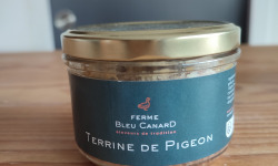 Ferme Bleu Canard - lot de 12 terrines de pigeon