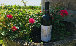 Domaine du Buisson - AOP Bordeaux rouge - 2022 - 1x75cl