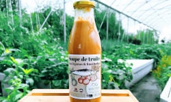 Nature et Saveurs - Ferme Aquaponique et Permacole Astérienne - Soupe de truite aux Légumes & Fines Herbes