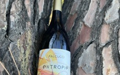 Terroirs de Corse - Vin Blanc Falcucci