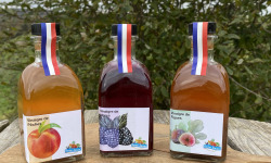 Ferme Sinsac - Trio de vinaigres de fruits (3 x 250ml)