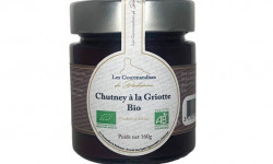 Nemrod - Chutney à la Griottes Bio - 24x160g