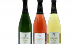 Champagne J. Martin et Fille - Carton Découverte - 3x75 cl