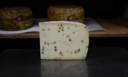 Alléosse Maitre Artisan Affineur Fromager - Pecorino Pepato Semistagionato Primizio