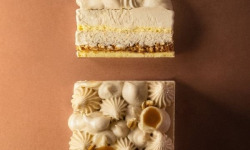 GT Designer Glacier - Paris Brest