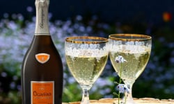 Champagne Thierry Griffon - Champagne OCARINA 75cl