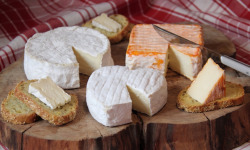 Ferme Dumesnil - Fromages x3 -P'tit Havrais -  Camembert castillon - fleur de Lin