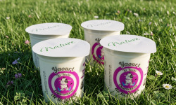 La Vache Charentaise - Yaourt fermier nature x8