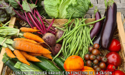 La Ferme de Goas Per - Grand panier de légumes de saison Bio