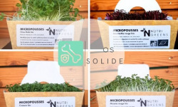 Ma Micropousse culinaire - Micro pousses Pack Os solide (Kale, Amaranthe, cresson, moutarde) 4 barquettes