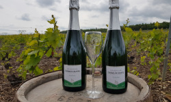 Champagne Deneufchatel - Champagne Deneufchatel Brut Tradition 2 X 75 Cl
