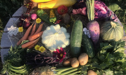 Ferme Sinsac - Panier de legumes variés - 5 kg