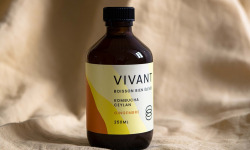 Vivant Kombucha - Kombucha Thé Ceylan Gingembre Bio x12