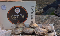 Jean Luc Le Gall Huîtres et Coquillages - Huitres Plates Moyennes X 50 PIECES