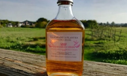 La Cabane à plantes - Sirop de geranium rosat – verveine 20cl