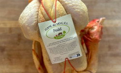 Ferme du Vidalies - lot de 3 poulets de 2,5kg