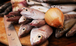 Luximer - Parures De Poissons - Lot De 2kg