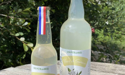 Ferme Sinsac - Lot de 6 x 75 cl pétillants aux fleurs de sureau sans alcool
