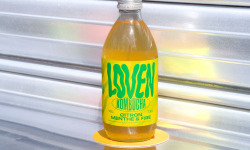 Brasserie L'Indispensable LOVEN Kombucha - Kombucha Citron Menthe & Fire - 6x33cl