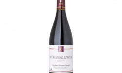 Domaine Céline Coté - Bourgogne Epineuil Les Dannots 2022