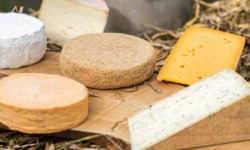 Ferme du Sire de Créquy - Fromages fermier - plateau  15 personnes
