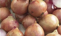 La Ferme de Goas Per - Ognon rose bio - 500gr