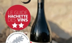 Domaine de la Chopinière du Roy - Lot de 3 Bouteilles de vin rouge Saint Nicolas de Bourgueil cuvée Sous la Robe 2023 - 3 x 75 cl