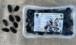 Saint Kerber - Cancale - Moules de bouchot STG  barquette 1,4 kg