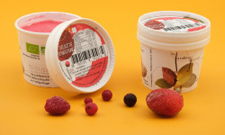 Le Jardinier Glacier - Sorbet Délice de Bourgogne, fruits rouges de notre ferme - 140ml X8