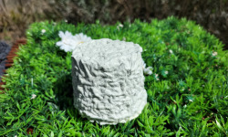 La C'lait des champs - Lot de 3 Chabis cendré 150g