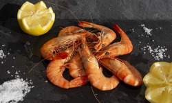 Fine de Cancale - Crevettes Label Rouge de Madagascar 1Kg