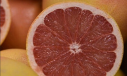 Les Hespérides - Coopérative de la Riviera Française - Pomelos Star Ruby  5kg