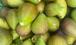 Des Poules et des Vignes à Bourgueil - Figues fraîches blanches/violettes