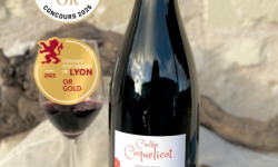 Domaine de la Chopinière du Roy - Vin rouge Saint Nicolas de Bourgueil - Cuvée coquelicot 2023 - 6x75cl