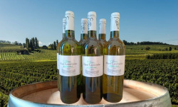 Château Haut-Lamouthe - Bergerac Blanc Sec AOC - 6x75cl