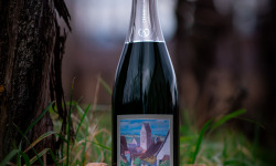 Domaine François WECK et fils - Le Crémant - Cuvée St Pantaléon - 75 cl
