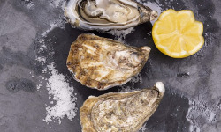 Fine de Cancale - Huîtres Spéciales de Cancale N°2 - 48 pièces