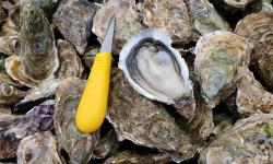 Huitres Damerose - Huitres naturelles Spéciale n°2 - 2 douzaines (25 pièces)