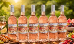 Domaine Laprune - Vin rosé 1/2 Sec Tannat - "Aquarelle" - 2025 - 6 x 75cl