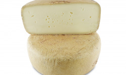 BEILLEVAIRE - Ossau Iraty AOP